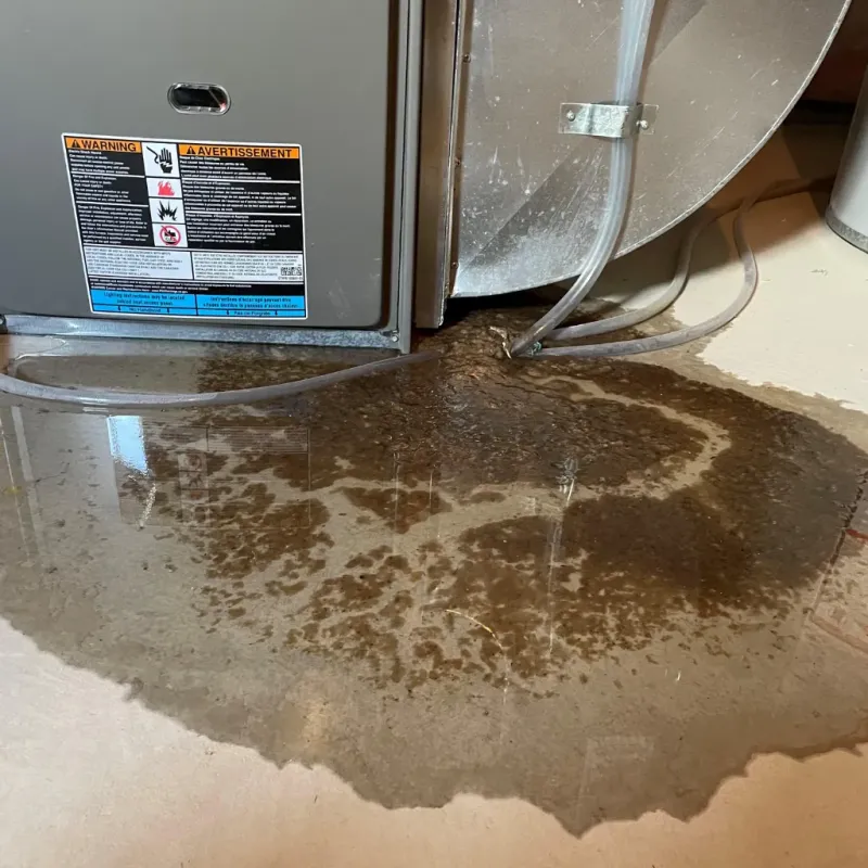 Appliance Leak Cleanup in Jeffersonville, KY
