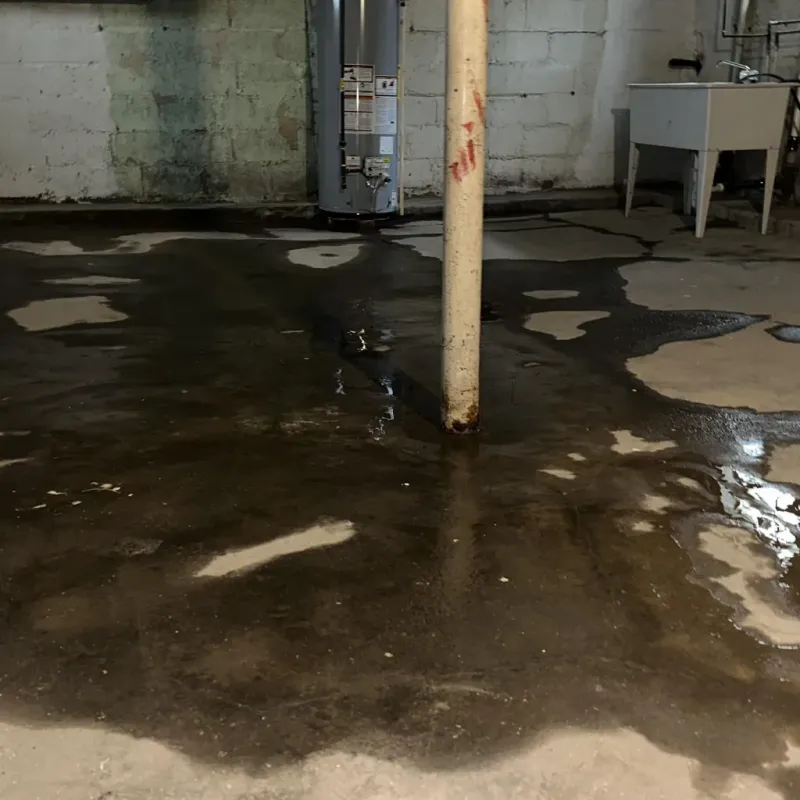 Emergency Water Extraction And Removal in Jeffersonville, KY